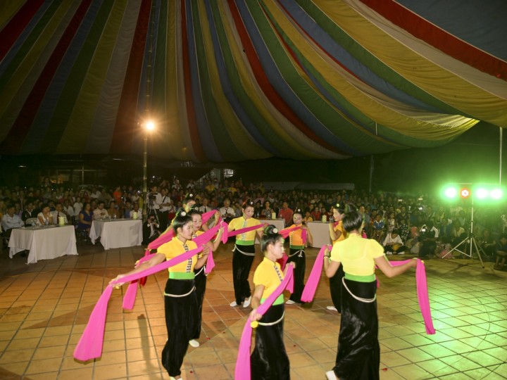 Điệu múa Thái của nhóm Hoa Hướng Dương (Điện Biên, 2016)